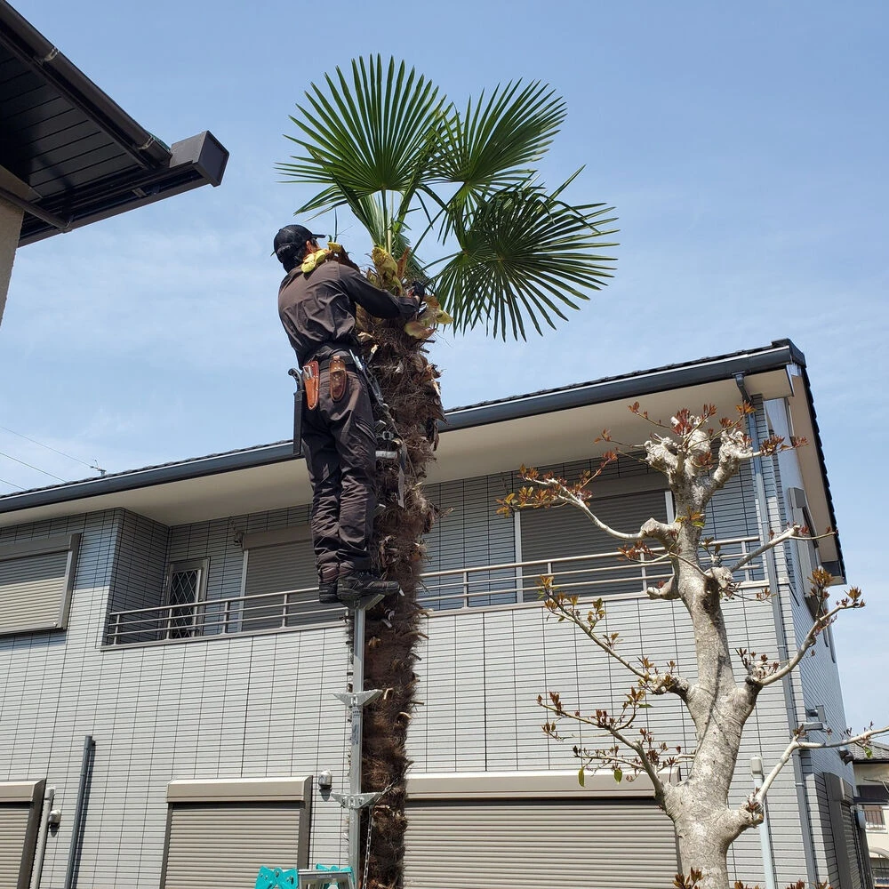 ブログ画像